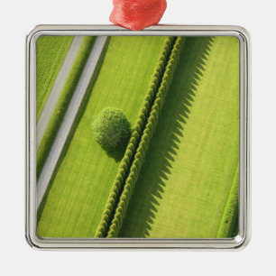 Hedge in The Hamptons Metal Tree Decoration