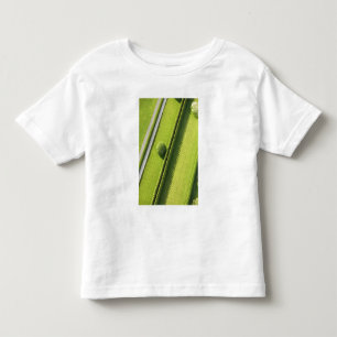 Hedge in The Hamptons Toddler T-Shirt