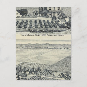 Hedge Row Vineyard, Fresno Postcard