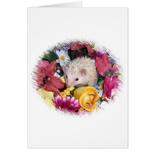 Hedgehog among the flowers (Front)