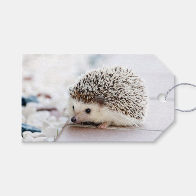 Hedgehog Baby Gift Tags (Front (Horizontal))