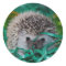 Hedgehog Baby in Easter Grass