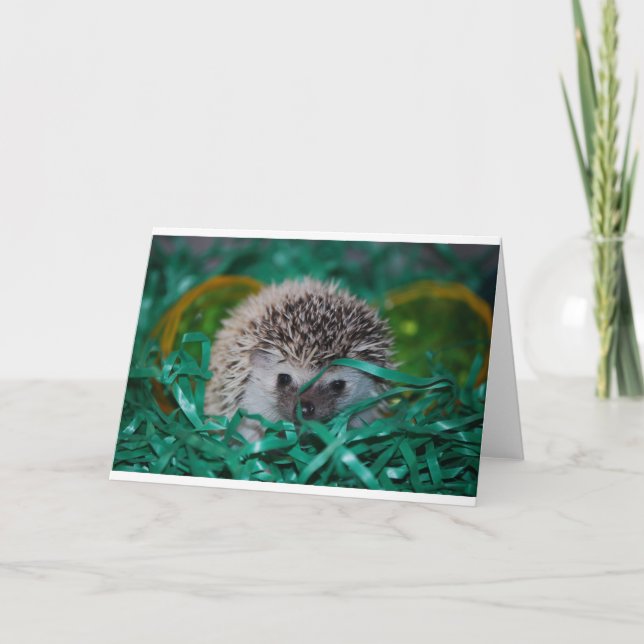 Hedgehog Baby in Easter Grass Holiday Card (Front)