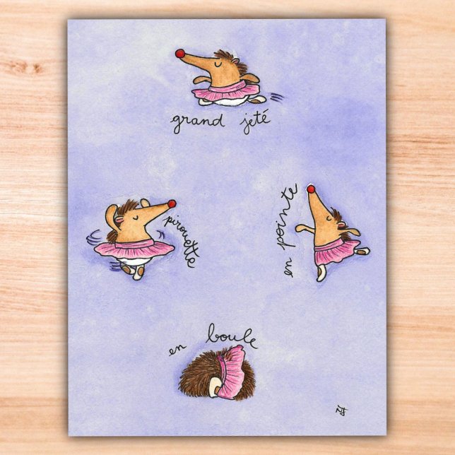 HEDGEHOG BALLET postcard by Nicole Janes (Creator Uploaded)