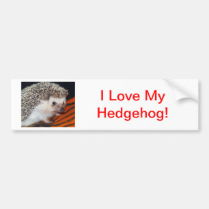 Hedgehog Bumper Sticker