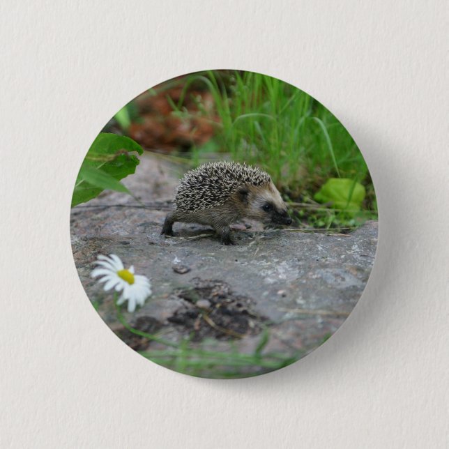 Hedgehog button - customisable (Front)