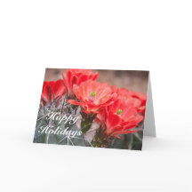 Hedgehog Cactus Happy Holidays