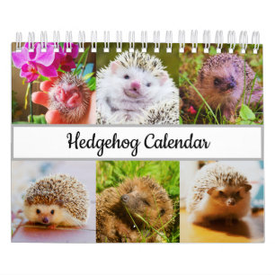 Hedgehog Calendar