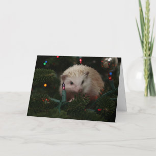 Hedgehog Christmas Card