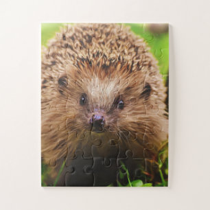 Hedgehog Curiously Exploring in Nature Jigsaw Puzzle