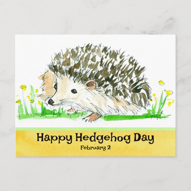 Hedgehog Day February 2 National Holidays Postcard (Front)