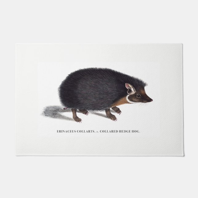 Hedgehog Door Mat (Front)