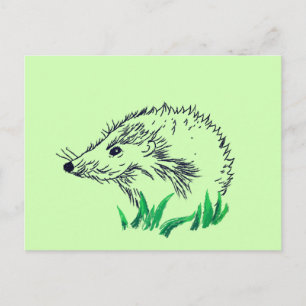 Hedgehog Drawing Custom   Postcard