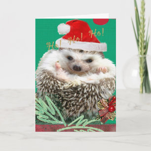 Hedgehog HO!HO!HO! Holiday Card