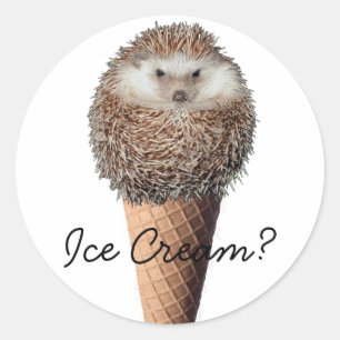 Hedgehog Ice Cream Classic Round Sticker