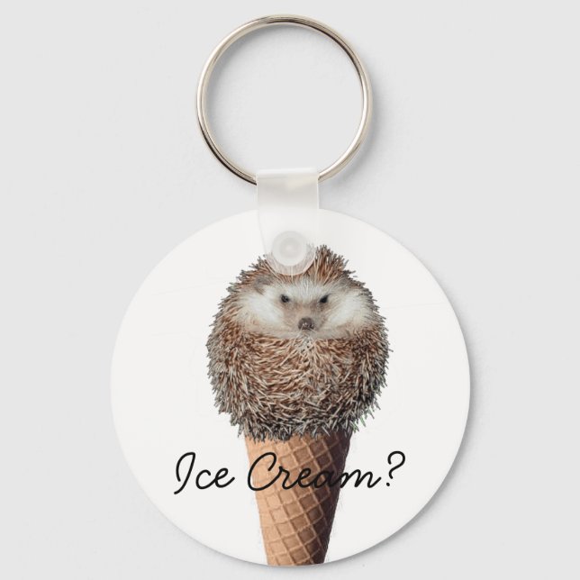 Hedgehog Ice Cream Key Ring (Front)