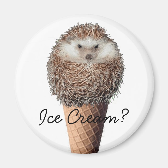 Hedgehog Ice Cream Magnet (Front)
