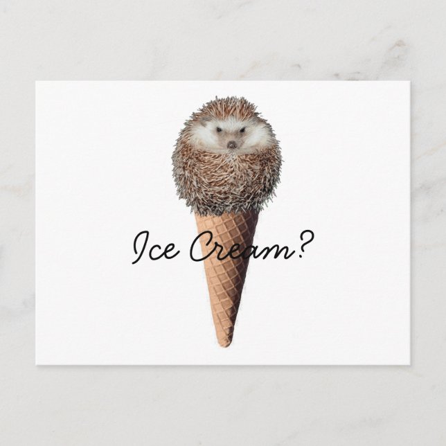 Hedgehog Ice Cream Postcard (Front)