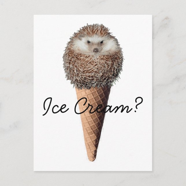 Hedgehog Ice Cream Postcard (Front)