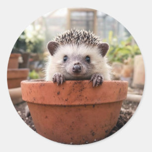 Hedgehog in a Clay Flower Pot Classic Round Sticker