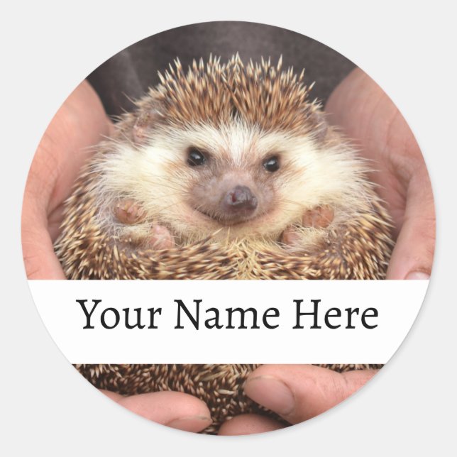 Hedgehog in Hands Photo Classic Round Sticker (Front)