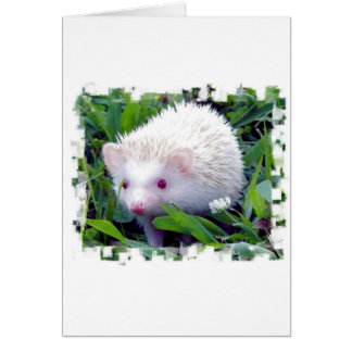 Hedgehog in the Grass