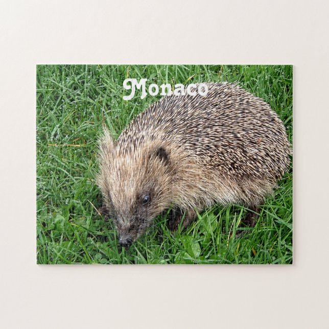 Hedgehog Jigsaw Puzzle (Horizontal)