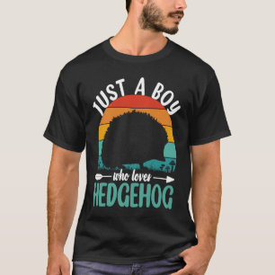 Hedgehog Just A Boy Who Loves Hedgehogs Retro Vint T-Shirt