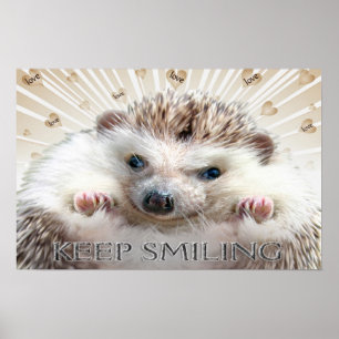 HEDGEHOG KEEP SMILING POSTER