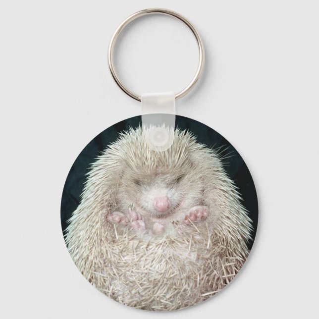 Hedgehog Key Ring (Front)