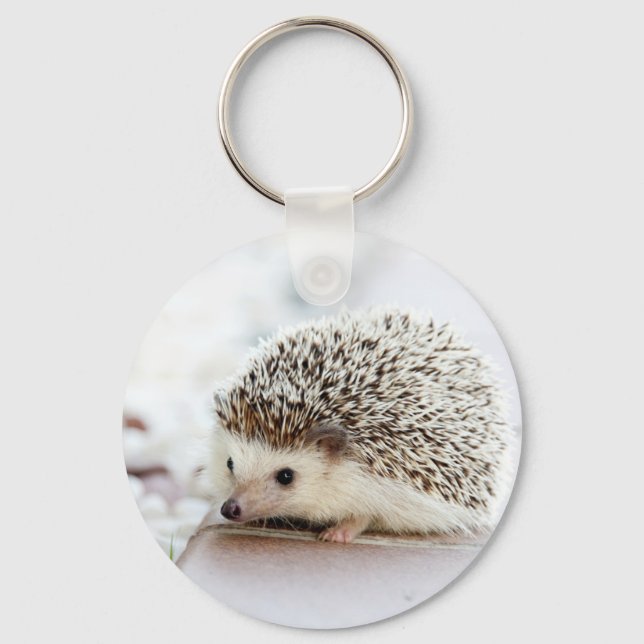 Hedgehog Key Ring (Front)