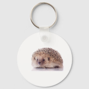Hedgehog, Key Ring
