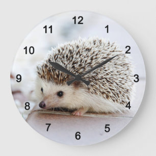 hedgehog large clock