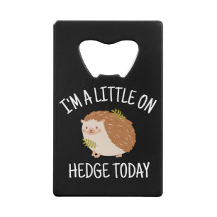 Hedgehog Little on Hedge Today