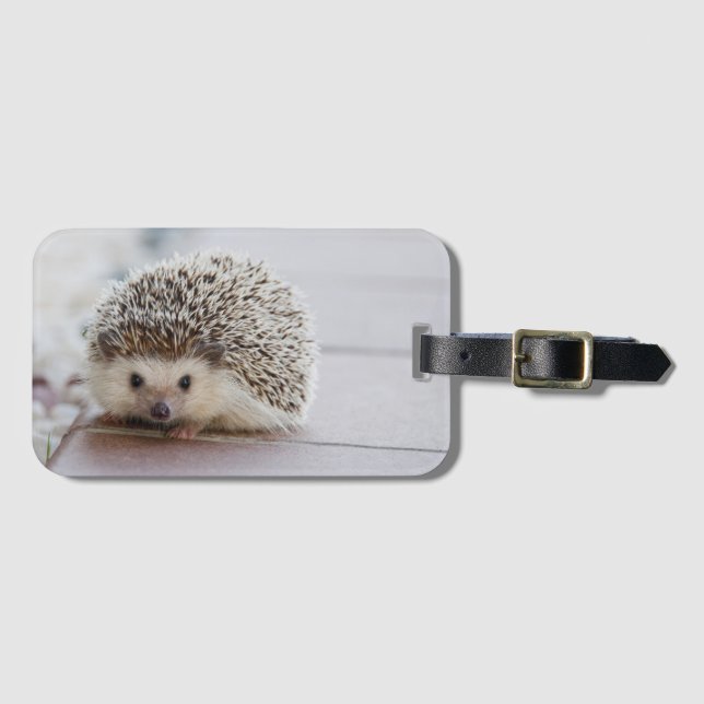 Hedgehog Luggage Tag (Front Horizontal)