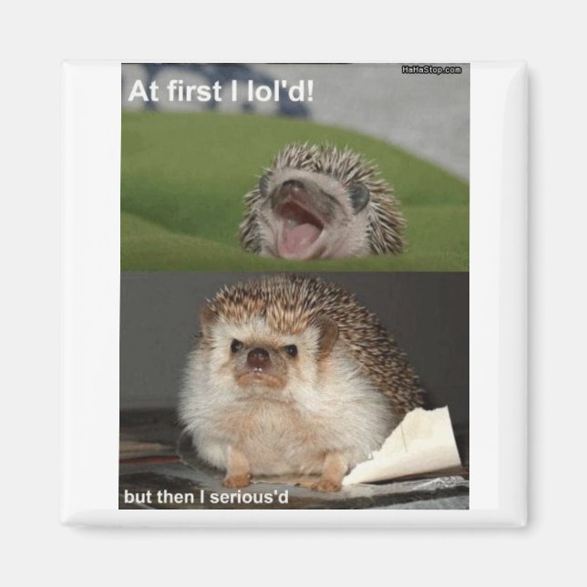 Hedgehog magnet (Front)