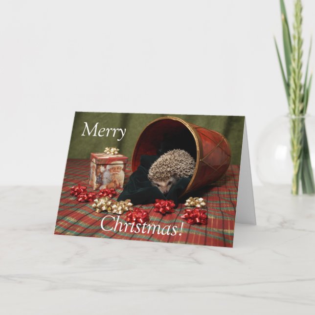 Hedgehog Merry Christmas Holiday Card (Front)