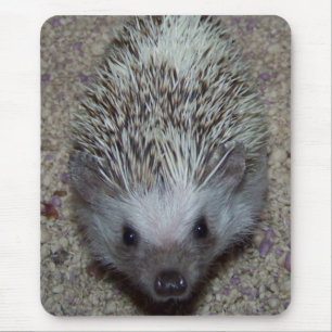 Hedgehog Mouse Pad