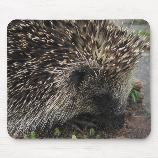Hedgehog Mousepad (Front)