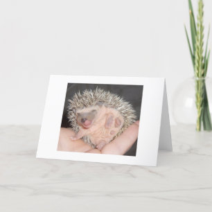 Hedgehog Notecard