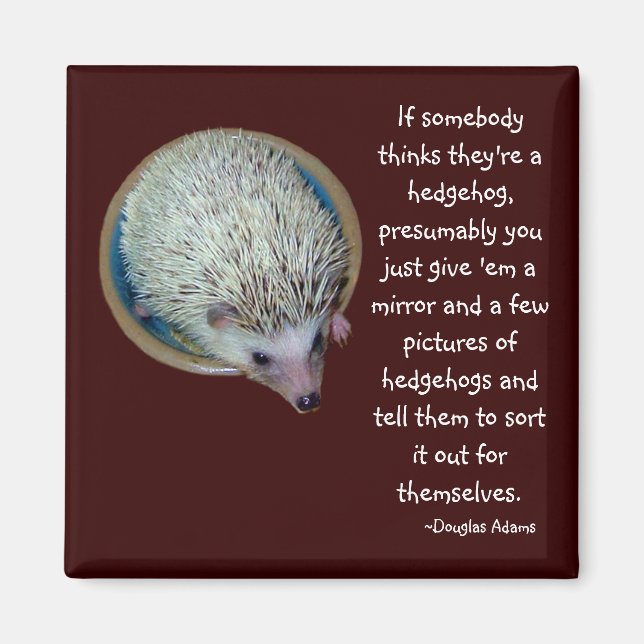Hedgehog or Person magnet (Front)