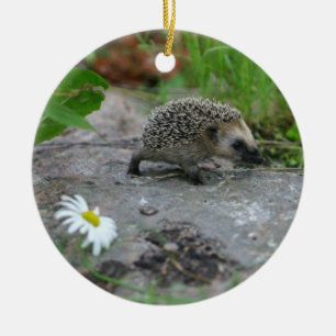 Hedgehog ornament - customisable