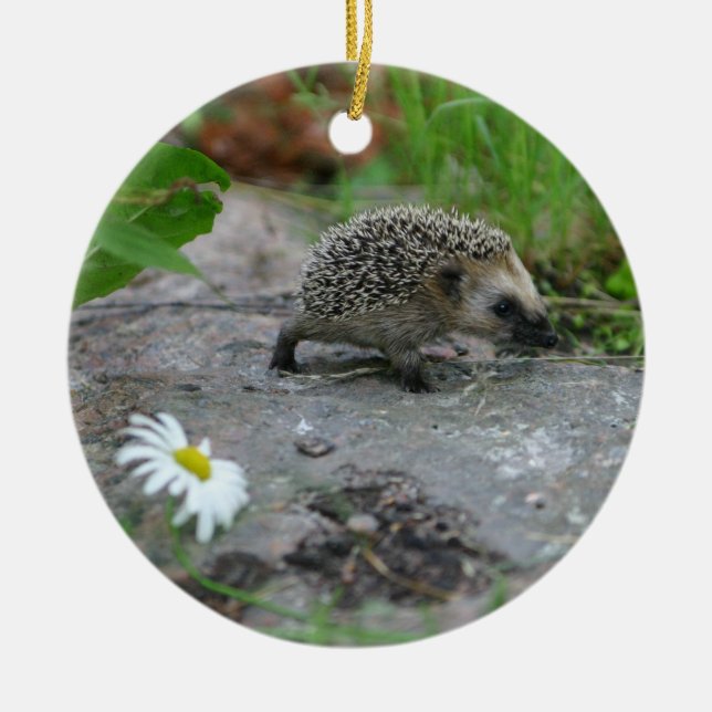 Hedgehog ornament - customisable (Front)