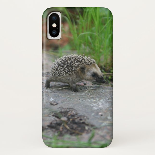 Hedgehog phone cases (Back)