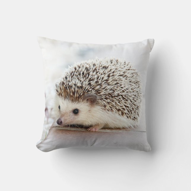 Hedgehog Pillow (Front)