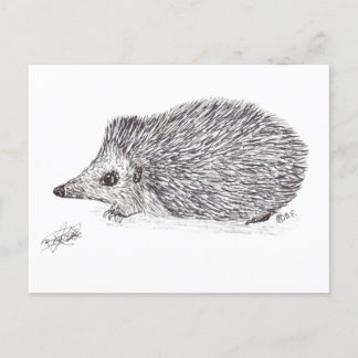 HEDGEHOG POSTCARD