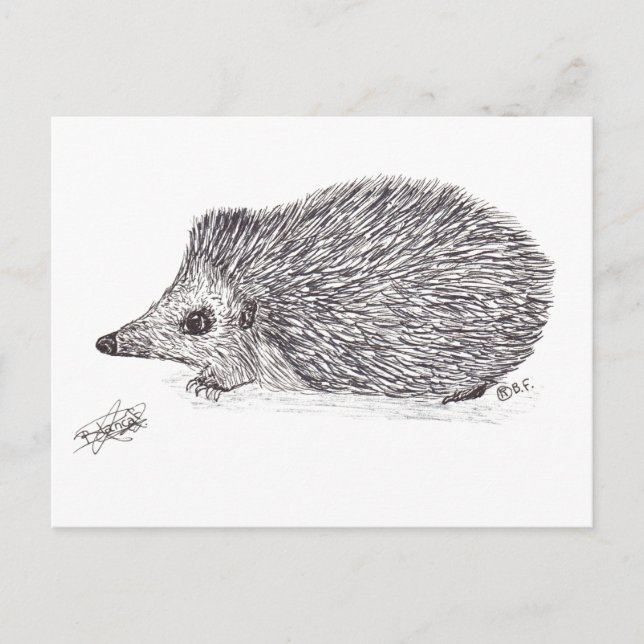 HEDGEHOG POSTCARD (Front)