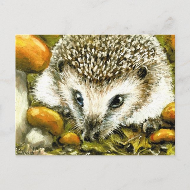 Hedgehog postcard (Front)