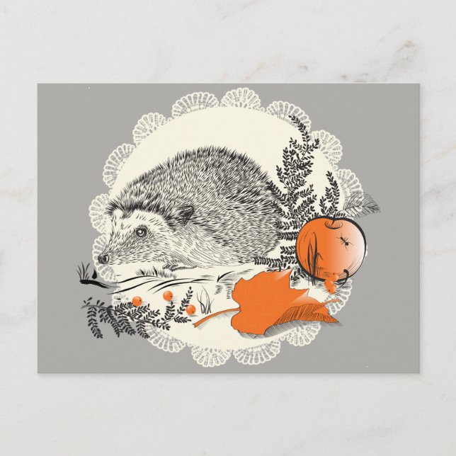 Hedgehog Postcard (Front)