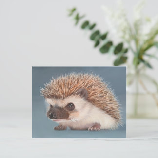 Hedgehog Postcard